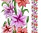 Beautiful amaryllis flowers with leaves in straight lines on white background. Seamless floral pattern. Watercolor painting.