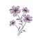 Beautiful and amazing image of violet flower AI Generated