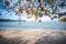 Beautiful amazing incredible tropical beach, white sand, blue sky with clouds and reflection of trees on the sand