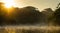 beautiful amazon river in a beautiful cloudy sunrise. Amazon River Colombia, Peru, Ecuador, Brazil