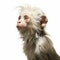 Beautiful Ambient Occlusion Style Monkey Painting On White Background