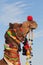 Beautiful amusing decorated Camel on Bikaner Camel Festival in Rajasthan, India