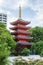 Beautiful ancient japanese pagoda