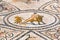 Beautiful Ancient Mosaic in Roman ruins of Volubilis, Unesco, Me
