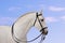 Beautiful andalusian horse portrait with blue sky