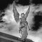 Beautiful angel with huge wings - black and white photo