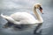 Beautiful animal style art pieces Ferocious Elegant Swan