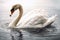 Beautiful animal style art pieces Ferocious Elegant Swan