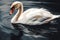 Beautiful animal style art pieces Ferocious Elegant Swan