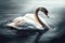 Beautiful animal style art pieces Graceful Swan Portrait