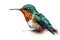 Beautiful animal style art pieces Lovely Hummingbird Art Drawing illustrations