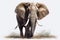 Beautiful animal style art pieces Powerful Elephant Portrait