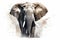 Beautiful animal style art pieces Powerful Elephant Portrait