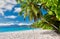 Beautiful Anse Soleil beach with palm tree at Seychelles