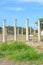 Beautiful Antique pillars with blue sky above. The columns were part of Salamis Gymnasium located near Famagusta in Cyprus