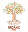 Beautiful apple fruit tree natural organic farm food vector logo or emblem.