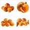 Beautiful Apricot in solid background, vector illustration