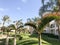 Beautiful Arabian Muslim white stone building, cottages, houses against a background of tropical greens of palm trees with large l