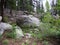 The Beautiful Arapaho National Forest Near St. Mary`s Glacier, Colorado