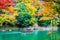 Beautiful Arashiyama river with maple leaf tree and boat around lake