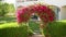 Beautiful arch of red flowers on a background of the house