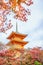 \' Beautiful Architecture in Kiyomizu-dera Temple Kyoto, Japan