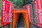 Beautiful architecture of red torii gate tunnel at Hie shrine