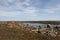 Beautiful arctic landscape in summer colours with blue skies and soft clouds