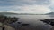 Beautiful arctic tern and seagull flocks flying in the air over blue fjord