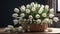 Beautiful arrangement of white tulips carefully assembled into a bouquet and delicately placed in a woven basket