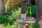 Beautiful artesian well made by stones and wheel pulley with metal bucket and rope in peaceful garden atmosphere. Retro stone