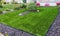 A beautiful artificial lawn in the front yard with nice flowers and shrubs surrounding it