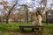 Beautiful asian woman enjoyed sitting on a wooden branch in the autumn garden with Osaka castle in background