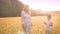 Beautiful asian woman talking to her little son while walking on wide wheat field on sunset