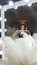 Beautiful asian young woman and decorative ostrich feathers on a gold table next to a make-up mirror