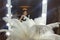 Beautiful asian young woman and decorative ostrich feathers on a gold table next to a make-up mirror