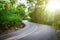 Beautiful asphalt road in palm jungle.