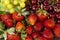 beautiful assorted fruits. strawberry, cherry and grape mix