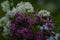 Beautiful assortment of brightly coloured wild flowers growing from a patch of grass