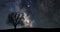 Beautiful astronomy time lapse. Milky Way Time lapse. Lonely tree