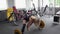 A beautiful athletic girl is engaged in the gym. Barbell, deadlift