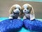 Beautiful attractive soft toys two lovely puppies