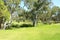 Beautiful Australian bush setting picnic area.