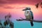 Beautiful Australian Kookaburra bird on a branch with a pastel sunset