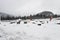 Beautiful Austrian scenery snowy road forest mountains Austria in winter