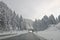 Beautiful Austrian scenery snowy road forest mountains Austria in winter