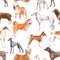 Beautiful autotraced vector seamless pattern with cute watercolor hand drawn dog breeds Cocker spaniel Greyhound Hound