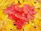 Beautiful autumn background image with a heart symbol of maple leaves