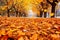 Beautiful autumn background landscape Carpet of fallen orange 1690445172415 5