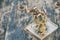 Beautiful autumn bouquet dried flower on wooden table